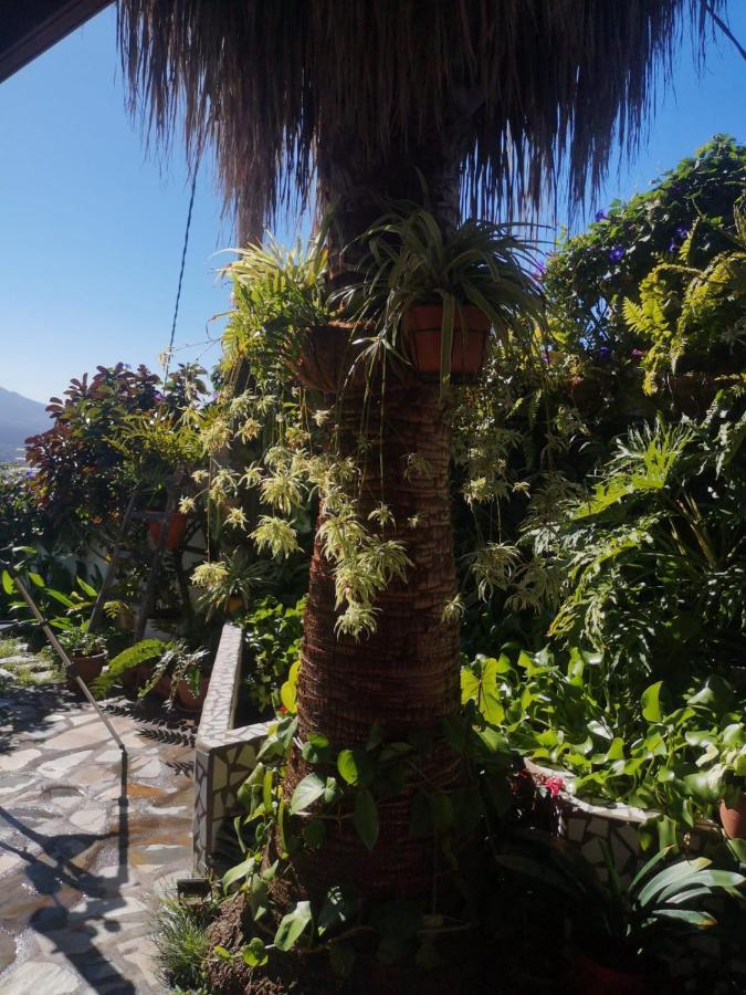 Villa Sila El Paso Exteriér fotografie